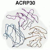 acrp30.com