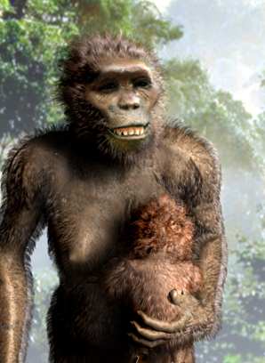 afarensis.com