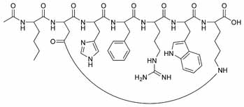 molecular structure of bremelonatide / PT-141