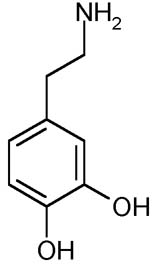 dopamine