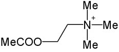 cholinergic.com