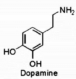 dopamine