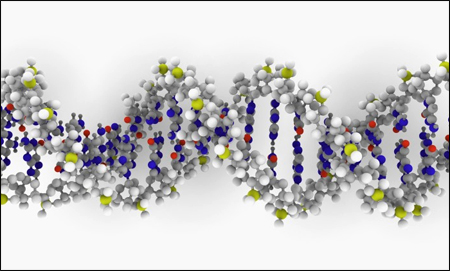 Evolutionary Genetics