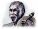 Homo floresiensis