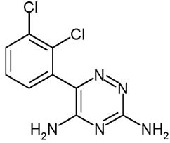 lamotrigine