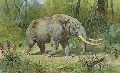 mastodons.co.uk