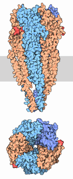 neuroreceptor.com