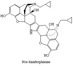 norbinaltorphimine.com