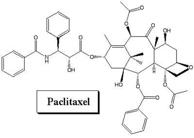 paclitaxel.co.uk