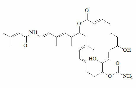 palmerolide