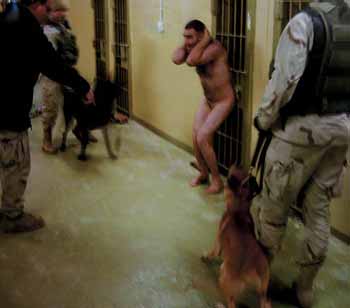 US soldiers setting  dogs on a naked Iraqi prisoner