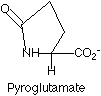 pyroglutamate