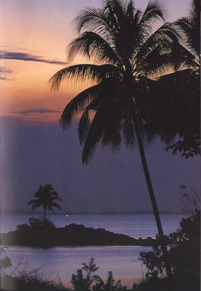 photograph of the island of Bintan