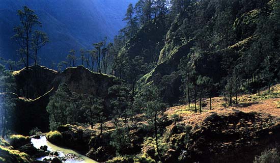 photograph taken on the foothills of Mount Rinjani