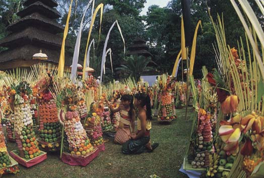 fruity festival offerings