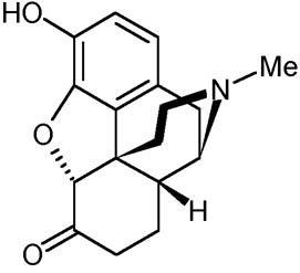 hydromorphone