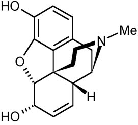 morphine